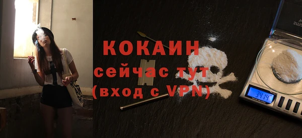 шишки Абаза