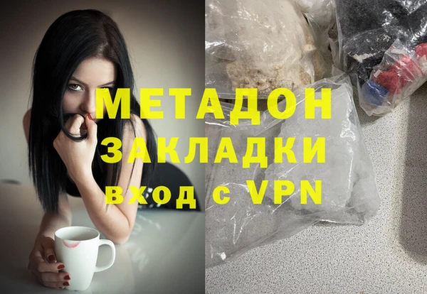 шишки Абаза