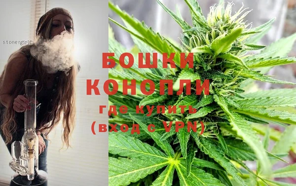 PSILOCYBIN Алзамай
