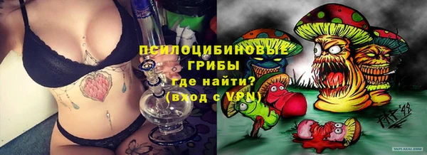 шишки Абаза
