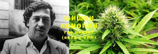 шишки Абаза