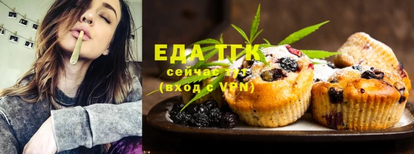 шишки Абаза