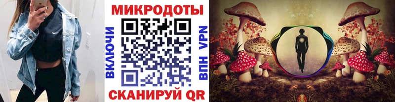как найти наркотики  Кандалакша  Галлюциногенные грибы Psilocybine cubensis 