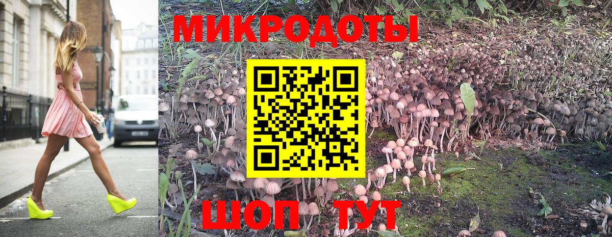 Галлюциногенные грибы ЛСД Кандалакша