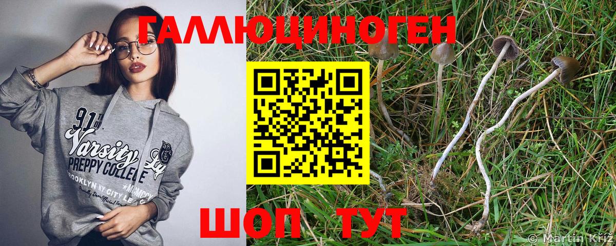 Галлюциногенные грибы Magic Shrooms  Вход с VPN  Кандалакша 